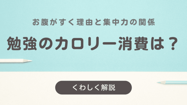 勉強でのカロリー消費はどれくらい？お腹がすく理由と集中力の関係